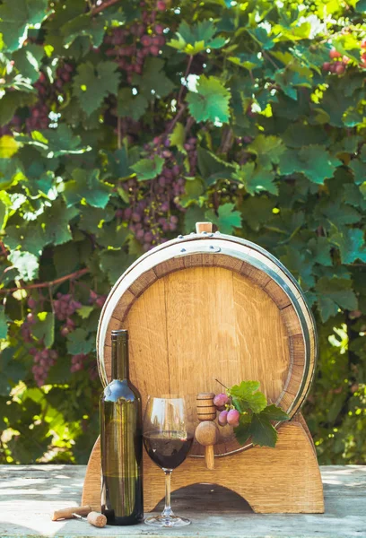 The wooden barrel — Stock Photo, Image