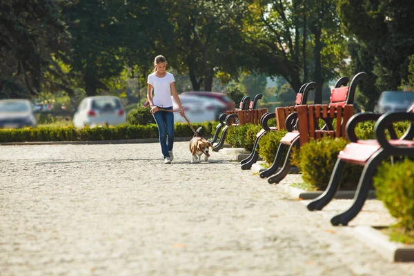 Dívka kráčí se psem — Stock fotografie
