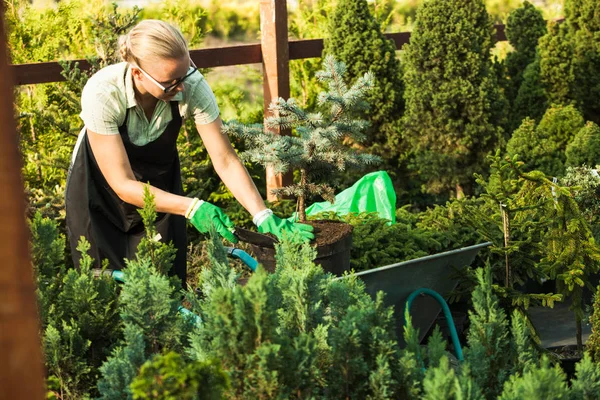 Çiçekçiler Süsleme-fidan ile çalışan kadın