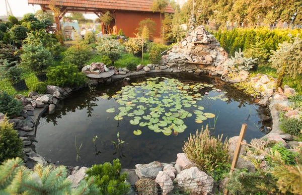 Garden pond landscaping — Stock Photo, Image