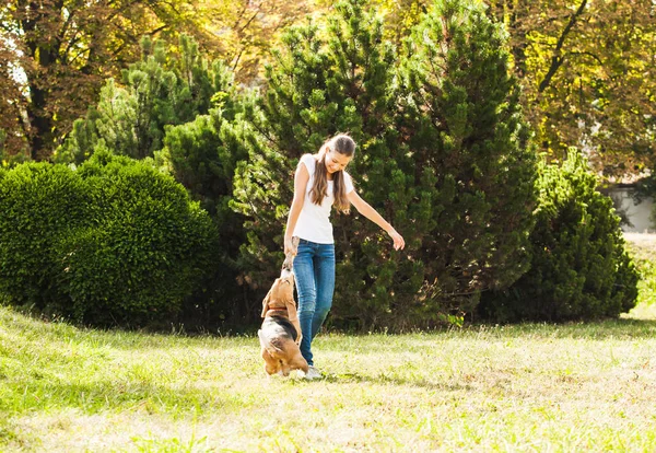 Flicka leker med en hund på gården — Stockfoto