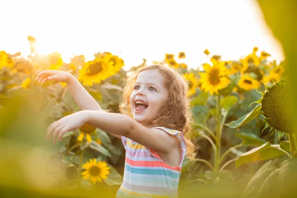 Chica feliz es aficionado a los girasoles — Foto de Stock