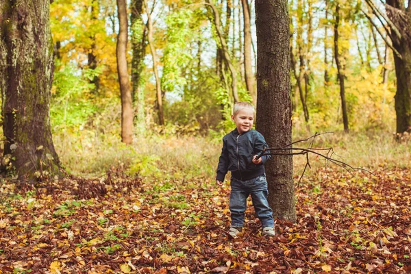 秋の森を歩く少年 — ストック写真