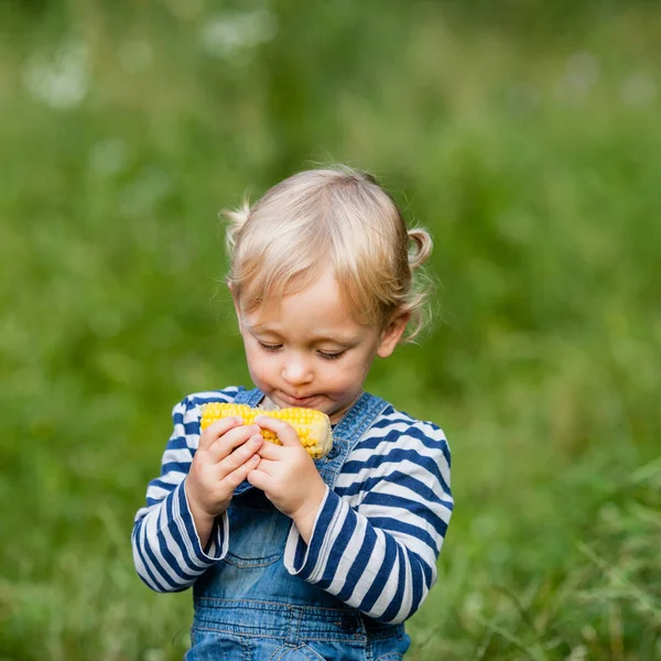 Snack en la naturaleza — Foto de Stock