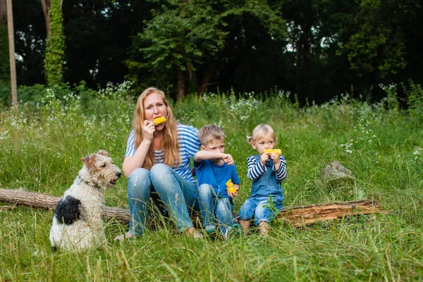 Snack on the nature — Stock Photo, Image