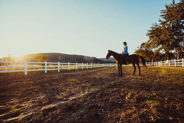 Evening walk on the horse — Stock Photo, Image