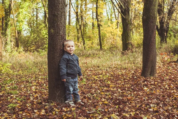 Kleiner Junge spaziert im Herbstwald — Stockfoto