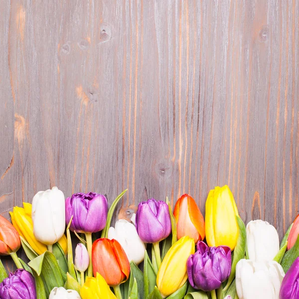 Color tulips on the board — Stock Photo, Image