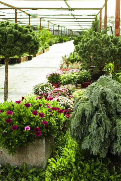 Jardín mercado al aire libre — Foto de Stock