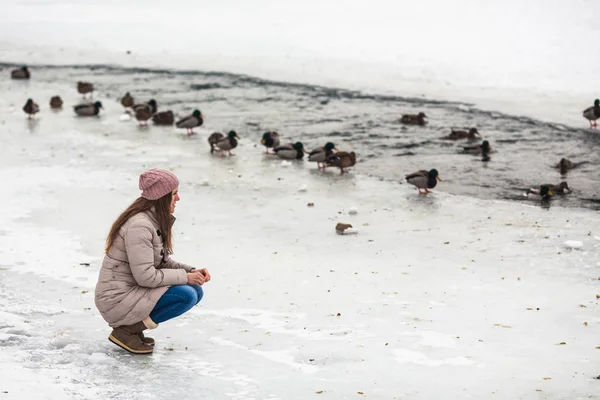 Girl feeding ducks in winter — Stock Photo, Image