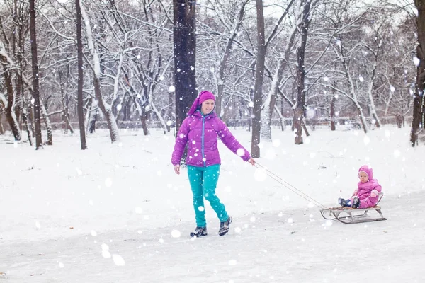 Ride on a sled in the winter woods — Stock Photo, Image