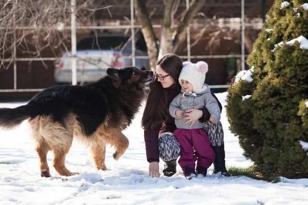 Maman avec fille et chien en promenade hivernale — Photo