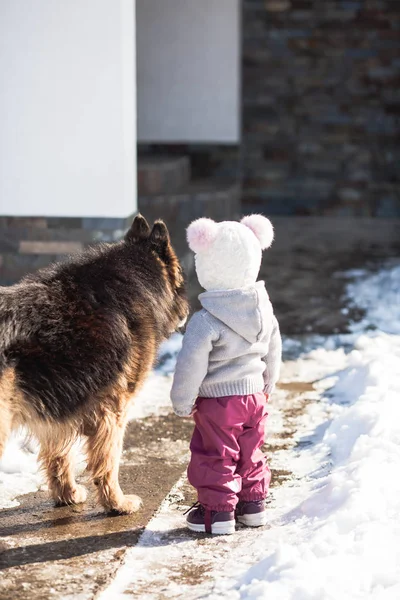 Chica se encuentra con un perro en invierno paseo — Foto de Stock