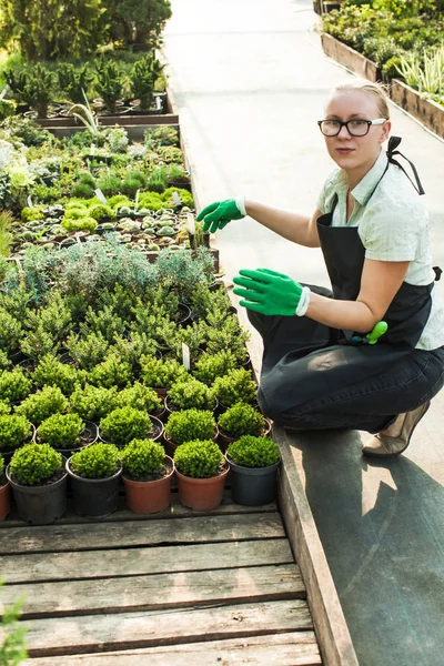 Venta de flores al aire libre — Foto de Stock