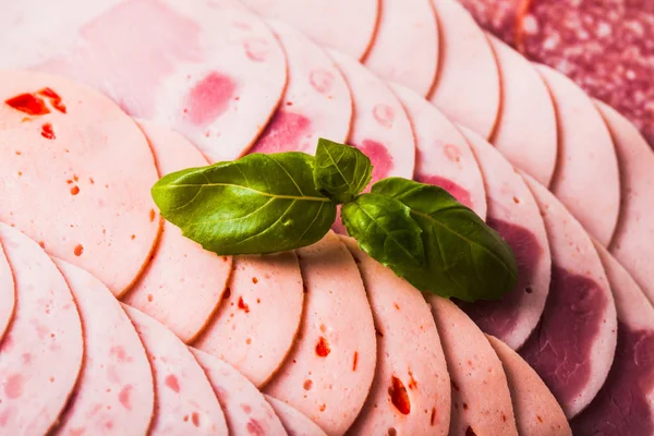 Variedade de produtos transformados à base de carne fria — Fotografia de Stock