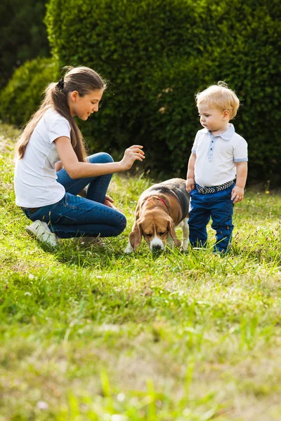 Girl plays with a dog — Stock Photo, Image
