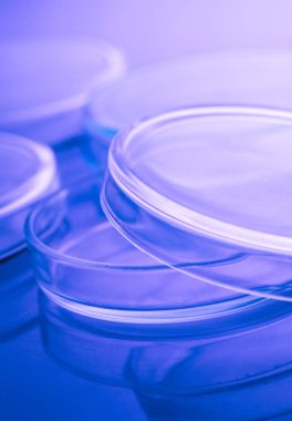 Petri yemekler yakın çekim