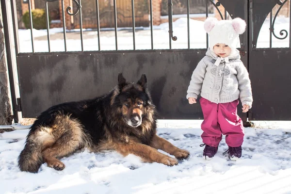 Fille rencontre un chien sur la promenade d'hiver — Photo