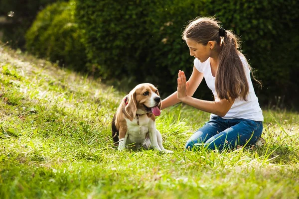 Fille joue avec un chien — Photo