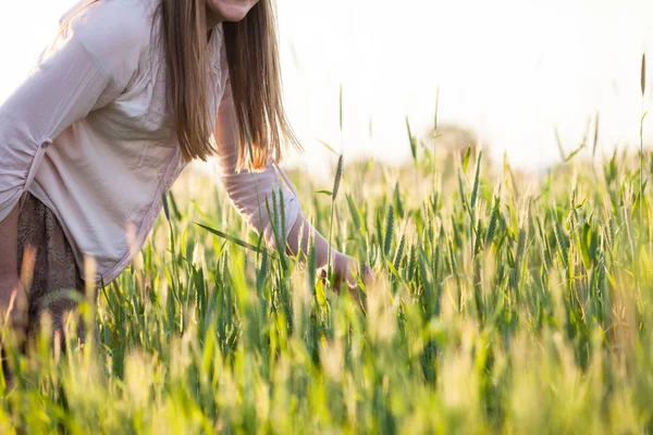 The girl in the field — Stock Photo, Image