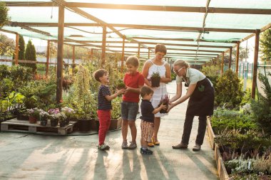 Çiçekçi Çiçek bir tencerede gösteren