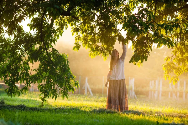Kvinnan samlar frukt från trädet — Stockfoto