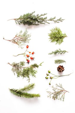 minimalist Ren geyiği yüz