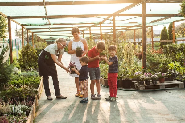 Florist demonstrating flowers in a pot — Stock Photo, Image