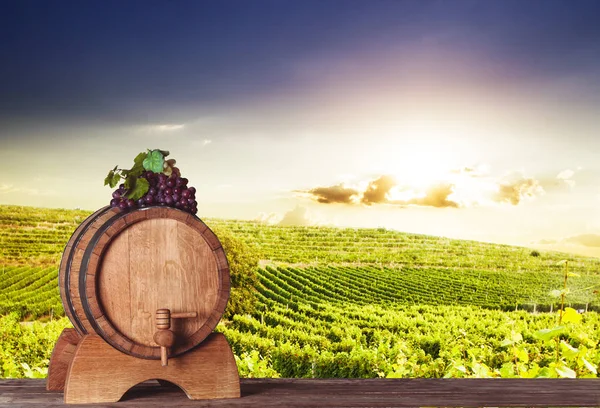 Uvas em barril de madeira — Fotografia de Stock