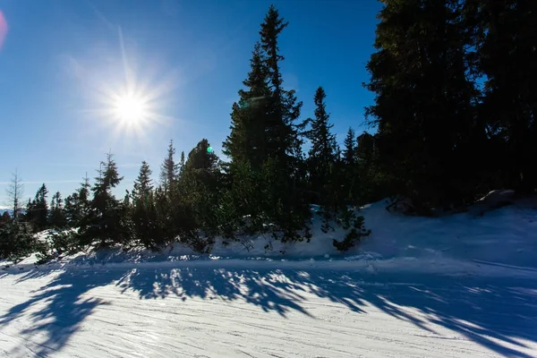 Paesaggio piste da sci — Foto Stock