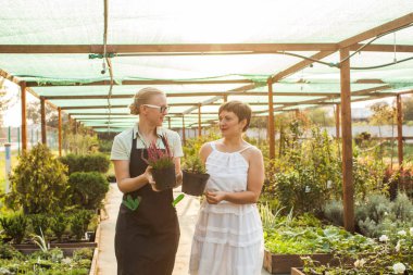 Çiçekçi Çiçek bir tencerede gösteren