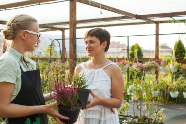 Çiçekçi Çiçek bir tencerede gösteren