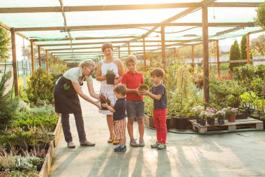Çiçekçi Çiçek bir tencerede gösteren