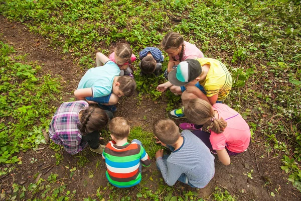 Niños divirtiéndose al aire libre — Foto de Stock