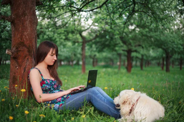 Working at the nature — Stock Photo, Image