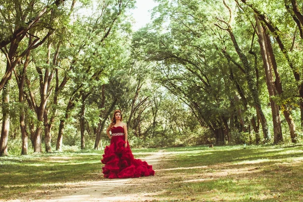 Princesa com coroa em vestido vermelho nublado — Fotografia de Stock