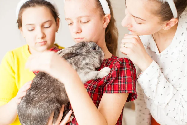 Chica con su mascota favorita — Foto de Stock