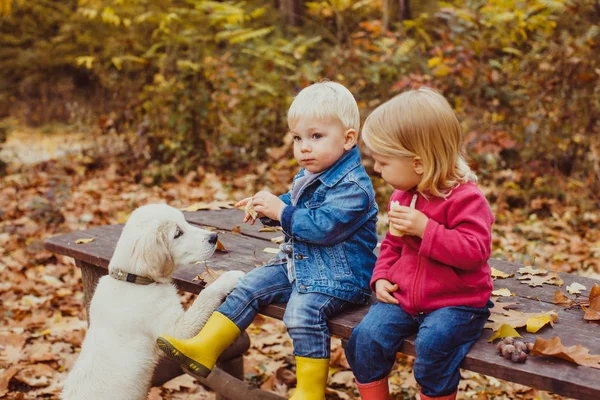 Діти і собачка в осінньому парку — стокове фото