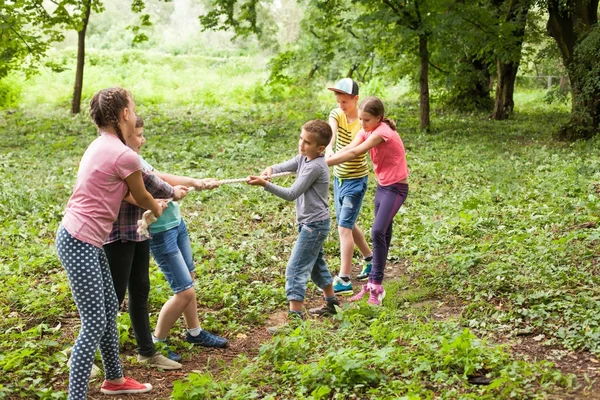 Arrastre de guerra en el parque — Foto de Stock