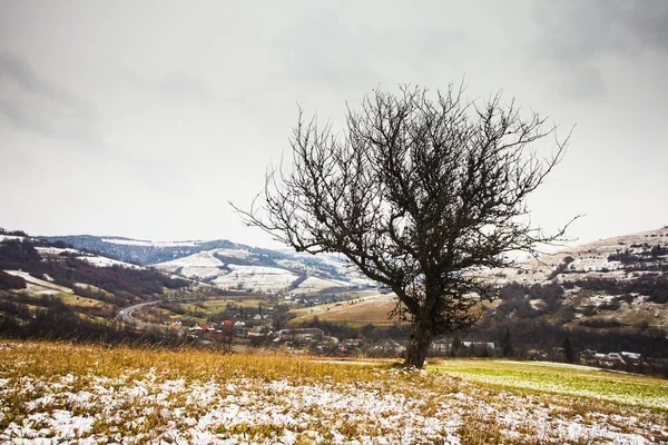 Otoño e invierno — Foto de Stock