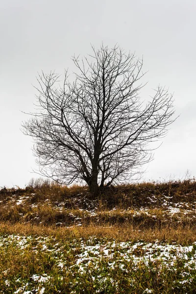 Herfst en winter — Stockfoto
