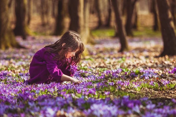 Ragazza ispirata dalla natura — Foto Stock