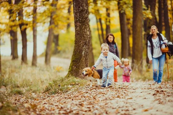 Niño con beagle — Foto de Stock