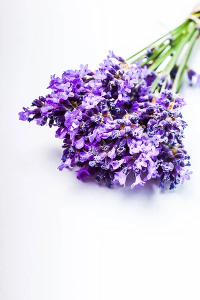 Lavendelstrauß aus nächster Nähe — Stockfoto