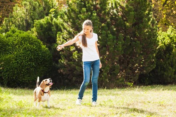 女の子が庭で犬と遊ぶ — ストック写真