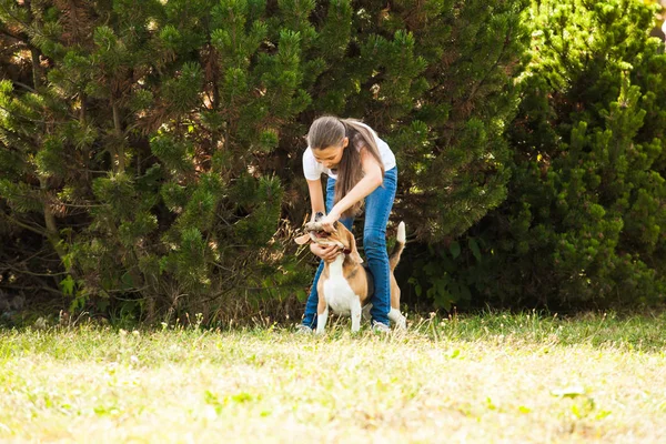 Ragazza gioca con un cane nel cortile — Foto Stock