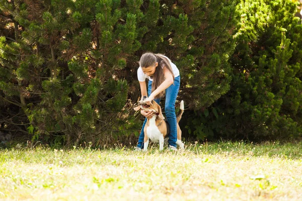 Chica juega con un perro en el patio — Foto de Stock