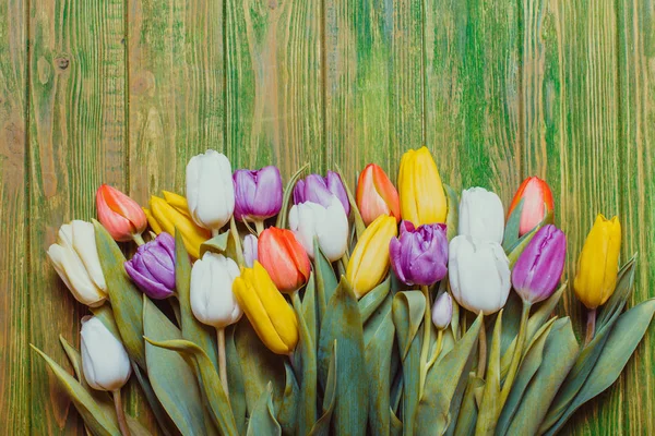Цветные тюльпаны на борту — стоковое фото