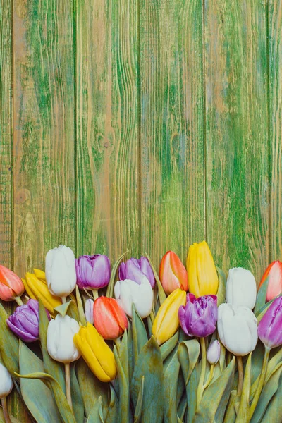 Kleur tulpen op het bord — Stockfoto