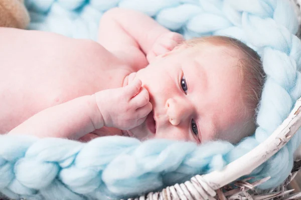 The newborn baby — Stock Photo, Image